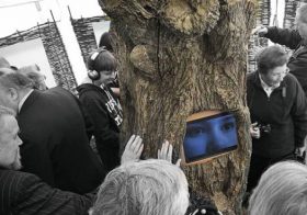 Collections: Social Responsibility, Cultural Sustainability