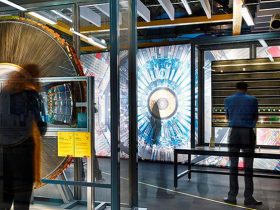 Museum Ideas Study Day: Creating Visionary Exhibitions and Galleries