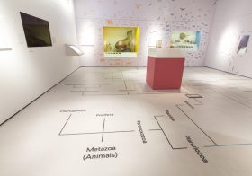 Temporary Exhibitions for the Contemporary Cultured