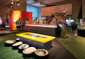 Dinosaurs and Design Thinking: Innovation and Collaboration