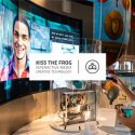 Kiss the Frog