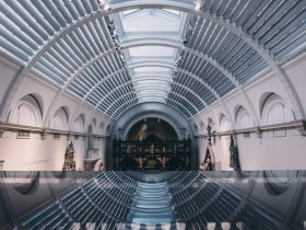 Museum Ideas 2024 International Conference – 10 October