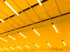 Museum Ideas 2025 Conference, London  – 17 Sep