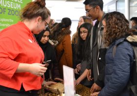 The Rumble Museum at Cheney School — Turning a School into a Museum
